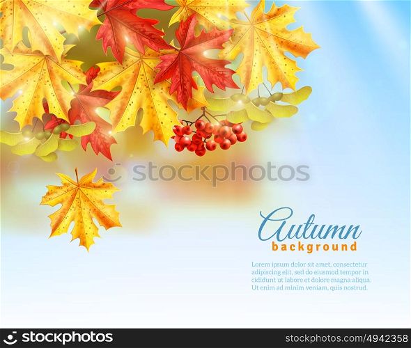 Flat Autumn Background. Light blue background with light effects shadows and colorful autumn leaves and rowan flat vector illustration