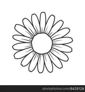 Flat daisy vector Beautiful white flowers leave space to add text. Isolated on white background.