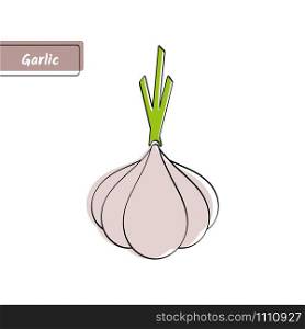 Flat design vegetable education card, vector illustration. Big solid gray isolated garlic with black outline and stylish label on white background for kid game, memory training or eco market sign.. Vegetable education card with isolated garlic