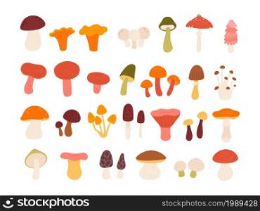 Flat edible forest mushrooms, truffle, chanterelle, porcini and amanita. Natural wild mushroom types in abstract minimalist style vector set. Poisonous and healthy autumn products isolated on white. Flat edible forest mushrooms, truffle, chanterelle, porcini and amanita. Natural wild mushroom types in abstract minimalist style vector set
