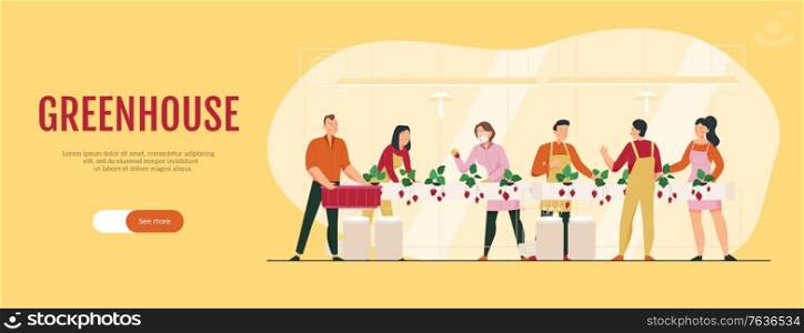 Flat horizontal banner with human characters growing strawberries in greenhouse vector illustration