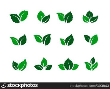 Flat leaves set. Vegan green food logos, farm plant eco and bio energy, simple forest leaf herbal tea label. Vector set of green leaves on white background. Stickers and badges organic food and drink. Flat leaves set. Vegan green food logos, farm plant eco energy, simple forest leaf herbal tea label. Vector set of green leaves