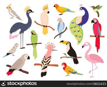 Flat parrots and tropical jungle birds flying and sitting. Macaw, parakeet, ara and colombia exotic parrot. Toucan and emu bird vector set. Illustration of parrot sitting on tree in paradise. Flat parrots and tropical jungle birds flying and sitting. Macaw, parakeet, ara and colombia exotic parrot. Toucan and emu bird vector set