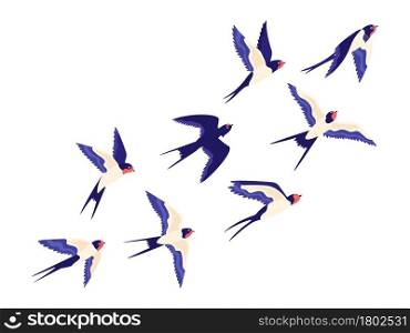 Flat small swallow bird flock flying in air. Cartoon group of barn swallows freedom flight in sky. Peaceful vector illustration with birds. Small wing bird swallow, flock wildlife. Flat small swallow bird flock flying in air. Cartoon group of barn swallows freedom flight in sky. Peaceful vector illustration with birds