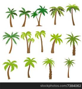 Flat vector set of palm trees