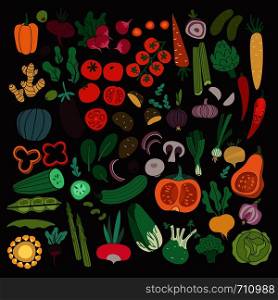 Flat vegetables set. Color carrot ginger, radish, pumpkin, corn, onion and cucumber tomato potato eggplant. Vegan healthy meal organic food vegetable isolated on dark background vector collection. Flat vegetables set. Color carrot onion cucumber tomato potato eggplant. Vegan healthy meal organic food vegetable isolated on dark background vector collection