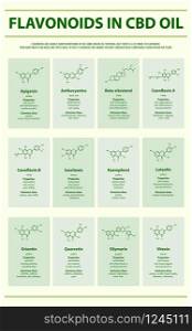 Flavonoids in CBD Oil with Structural Formulas vertical infographic illustration about cannabis as herbal alternative medicine and chemical therapy, healthcare and medical science vector.