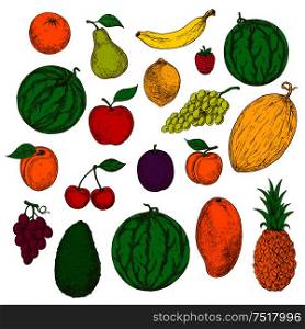Flavorful tropical mango, pineapple and orange, banana, lemon and avocado, juicy green and purple grapes, apple, pear and peach, cherries, raspberry and plum, apricot, watermelons and cantaloupe sketch icons. Enjoyable freshly harvested fruits, berries icons