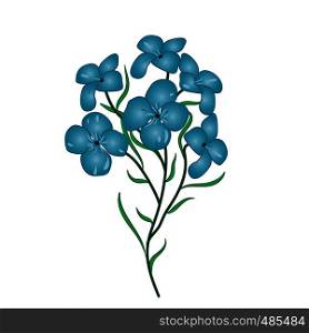 flax flower vector illustration on a white background