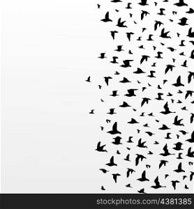 Flight of birds. The big flight of birds flies. A vector illustration