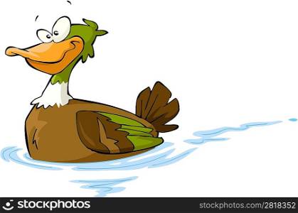Floating duck on a white background vector illustration