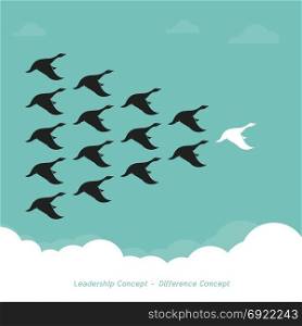 Flock of a duck flying in the sky., Leadership Concept and Difference Concept., Wild duck.