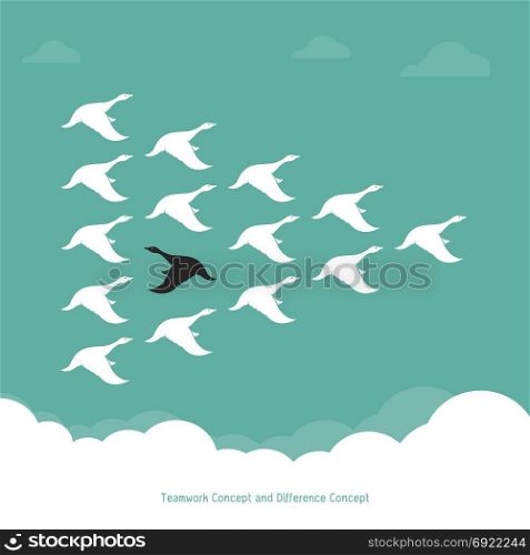 Flock of a duck flying in the sky., Teamwork Concept and Difference Concept.., Wild duck.