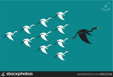 Flock of birds flying on blue background, Leadership and difference concept. Animal, Heron.