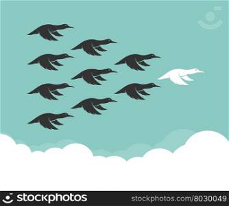 Flock of mallard flying in the sky, Leadership concept, Wild Duck