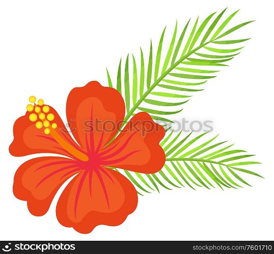 Flora of tropics, exotic blooming flower vector, isolated icon. Summer vacation, romantic decoration with bouquet, flourishing petals and foliage. Floral Decoration, Hawaiian Flower with Leaves
