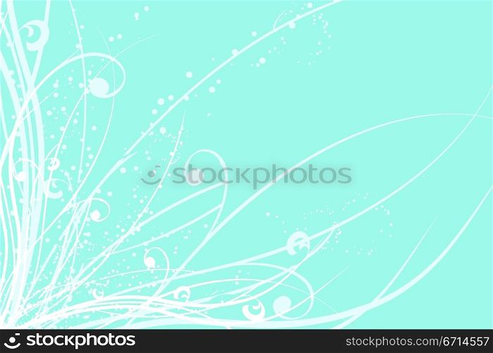 floral abstract