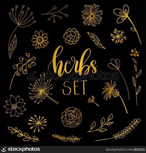 Floral and herbal set. Floral and herbal set. Graphic collection with field herbs. Botanical elements for wedding, birthday, textile design on a black background.