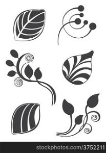 Floral and leaf vector elements in various styles for ornate and decoration
