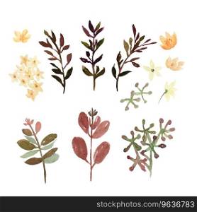 Floral and leaves watercolor elements set hand Vector Image