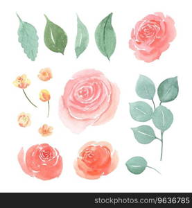 Floral and leaves watercolor elements set hand Vector Image