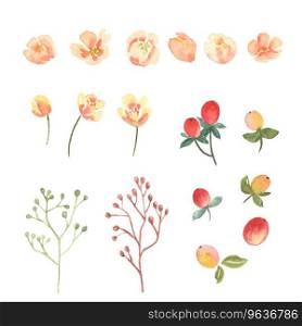 Floral and leaves watercolor elements set hand Vector Image