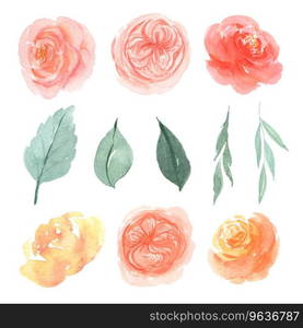 Floral and leaves watercolor elements set hand Vector Image