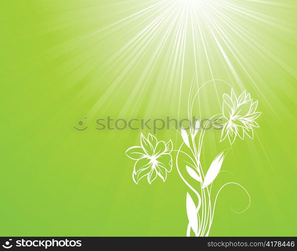 floral background