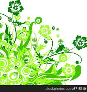 Floral background, vector