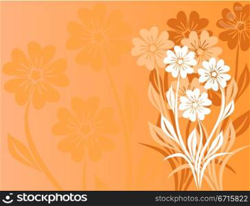 Floral background, vector