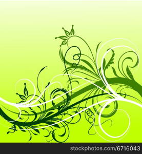 Floral background, vector