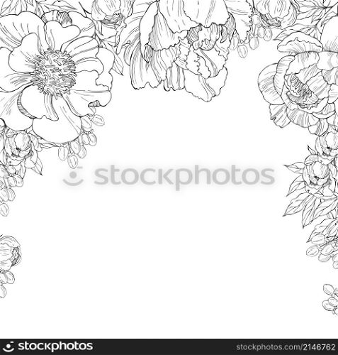 Floral background. Vector background with hand drawn peonies. Floral pattern on white background
