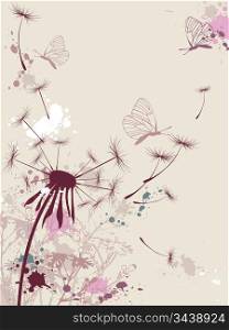 floral background with dandelion and butterfly