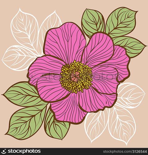 Floral background with flowers of peony