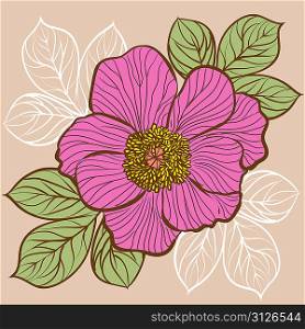 Floral background with flowers of peony
