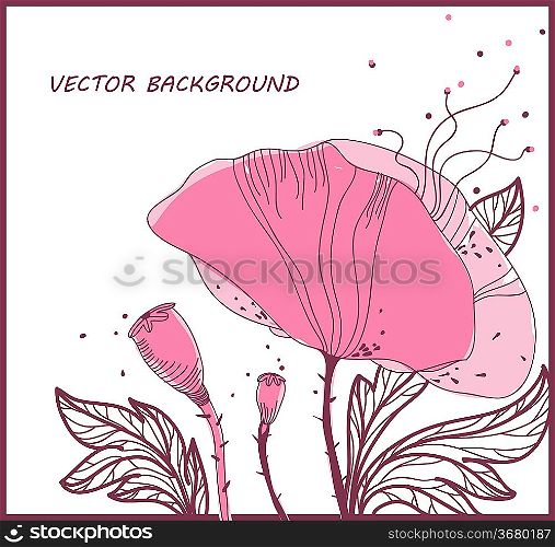 floral background with fresh blooming poppies