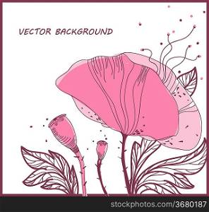 floral background with fresh blooming poppies