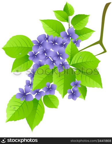 floral background with green branch and blue flowers