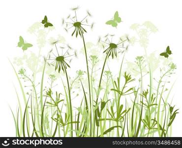 floral background with green grass,dandelions and butterflies
