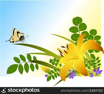 floral background with lily, green branches and butterfly