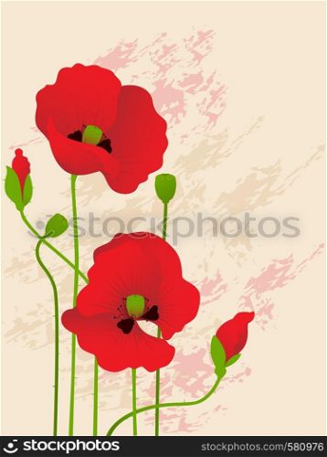 floral background with red poppies