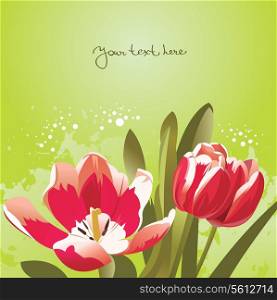 Floral background with tulips
