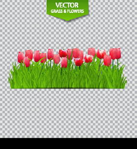 Floral Background with Tulips on Transparent Background. Vector Illustration. EPS10. Floral Background with Tulips on Transparent Background. Vector Illustration.