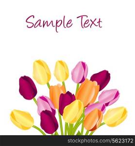 Floral background with tulips. Vector illustration .