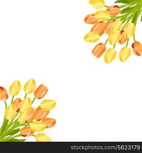 Floral background with tulips. Vector illustration .