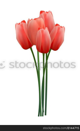 Floral background with Tulips Vector Illustration EPS10. Floral background with Tulips Vector Illustration