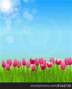 Floral background with Tulips Vector Illustration EPS10. Floral background with Tulips Vector Illustration