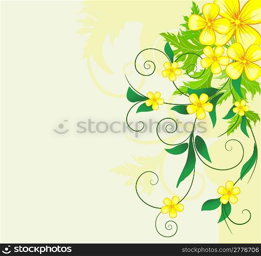 floral backround