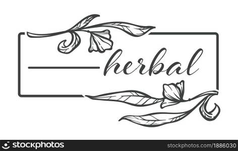 Floral banner with flowers and herbal design, isolated icon monochrome sketch outline. Blooming plant and frame with calligraphy inscription. Decoration or emblem for product vector in flat style. Herbal floral design, flower monochrome sketch outline vector