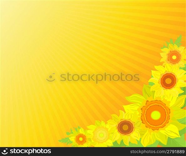 floral banner with sunflowers